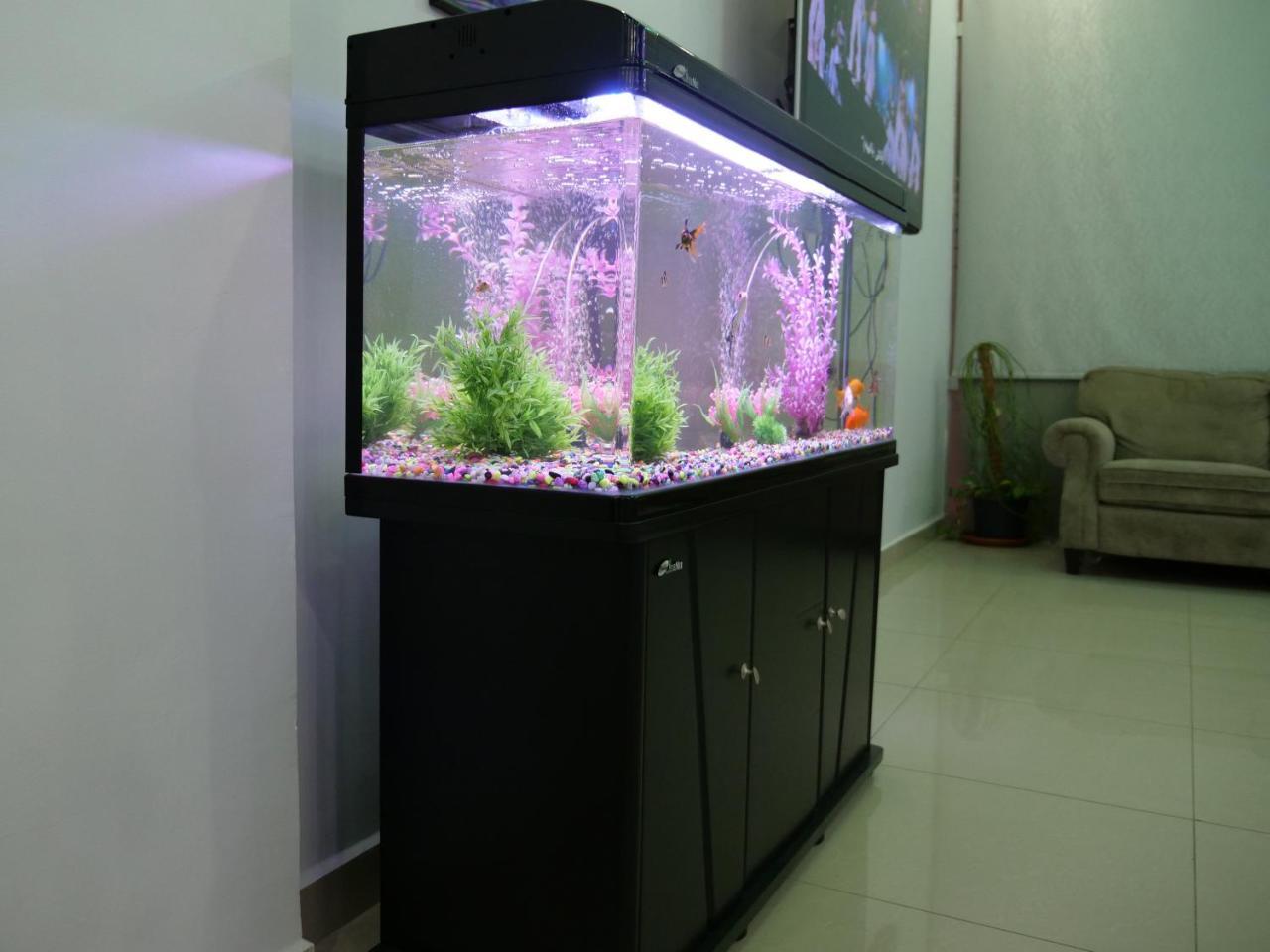 Heidelberg Apartment Kuwait City Luaran gambar
